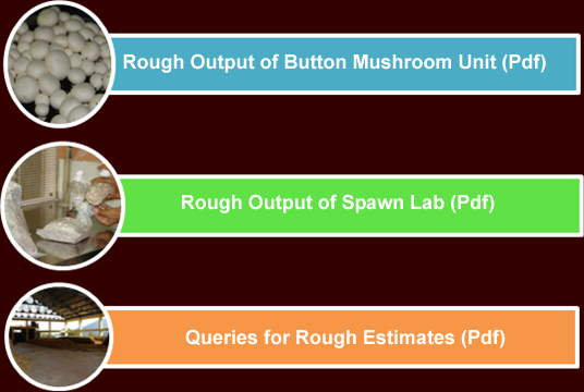 Website_Mushroom_Unit_Software_Output1